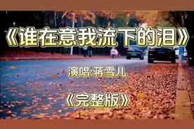 《谁在意我流下的泪》凄美的旋律，唱出了多少有故事的心声。视频封面