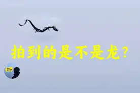 据说西安有人拍到了龙，龙到底存不存在？视频封面