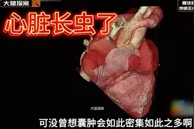 心脏里怎么会长虫了？