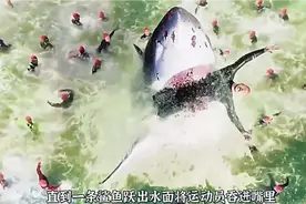 法国奥运会游泳赛场上惊现恐怖食人鲨！！！《巴黎深渊》视频封面