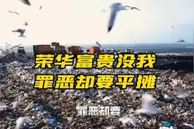 荣华富贵没我，罪恶却要平摊—罪恶平摊论，最毁三观的言论之一！视频封面