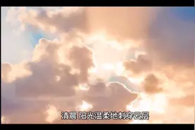 长驴耳朵的国王视频封面