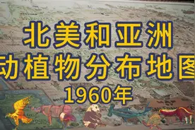 《北美和亚洲动植物分布地图》1960年视频封面