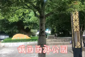 城西西郊公园，看起来没有什么人去过，因为原来是火葬场！