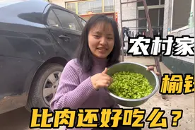 河南美食榆钱，现在这个正是应季野菜，一家人围坐共享这乡村美食视频封面
