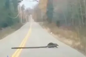 天下之大无奇不有，网友说：科学的尽头就是玄学，真人真事视频封面