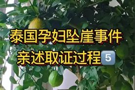 孕妇泰国坠崖事件幸存者，陈述取证逮捕恶魔全过程5️⃣视频封面