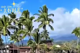 🌹夏威夷风情，岛屿生活的悠闲篇章…视频封面