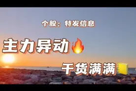 主力异动个股-特发信息视频封面