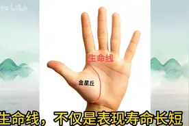 #掌纹的秘密，生命线详解视频封面