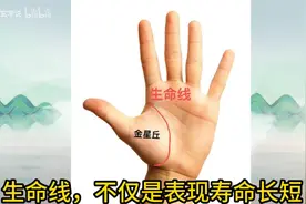 #掌纹的秘密，生命线详解视频封面