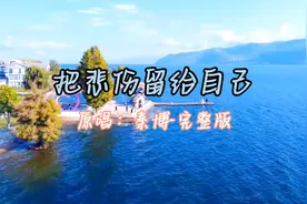《把悲伤留给自己》原唱：秦博-完整版，云南去过吗？跟我走视频封面