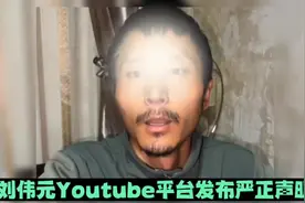 刘伟元Youtube平台发布视频，霸气声明维护合法权益，敲山震虎视频封面