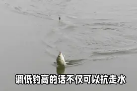 春季钓鱼用多长的竿效果好？ 用4米5的行不行？钓鱼实战视频视频封面
