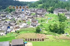 云南蛊毒之谜视频封面