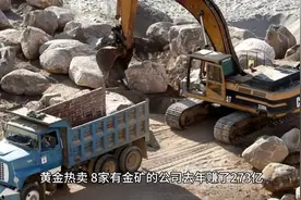 黄金热卖，8家有金矿的公司去年赚了273亿

来源视频封面