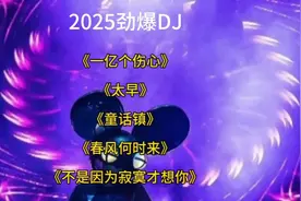 2025劲爆DJ，震撼心灵的五首神曲等你来跳！