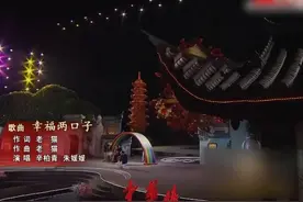 夜幕下的幸福两口子，星光下的浪漫时刻视频封面