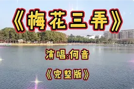 《梅花三弄》演唱何音，完整版非常的好听，百听不厌！视频封面