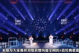 刘惜君曾经风靡全网的5首经典歌曲！不知道你都听过其中的几首视频封面