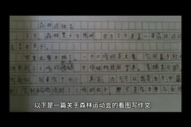 森林运动会视频封面