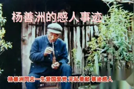 杨善洲的感人事迹视频封面
