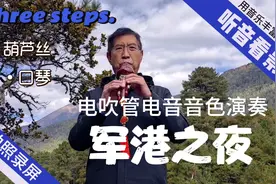 电吹管电音音色F调演奏军港之夜。视频封面
