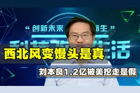 西北风变馒头是真 刘本良1.2亿被美挖走是假视频封面