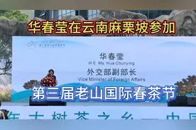 华春莹现身云南麻栗坡，参加第三届老山国际春茶节！视频封面