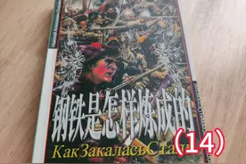 世界文学名著《钢铁是怎样炼成的》〔俄〕尼.奥斯特洛夫斯基 14