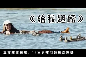 《给我翅膀》治愈励志电影，真实故事改编，男孩带着雁鸟迁徙视频封面