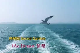 神秘园《The Dream 梦想》爱尔兰民歌歌手莫雅·布伦南演唱