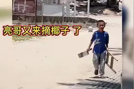 赤岭亮哥剪了新发型，迈着六亲不认的步伐又来摘椰子了！#赤岭视频封面