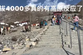 高哥记录尼泊尔生活在海拔4000多真的有高原反应了视频封面