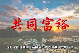 大力发展数字经济 扎实推进共同富裕 |解读二#数字经济#共同富裕视频封面