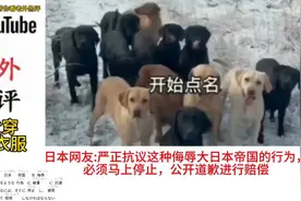日本人怒了：请停止你们的行为，柴犬八嘎狗已经火到了国外了！视频封面
