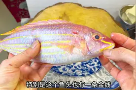 金丝鱼别再干煎了，学会这道金丝鱼冻豆腐鱼煲，鲜香入味视频封面