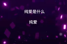 纯爱是什么
