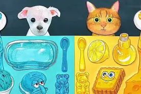 今天实现糖果自由，两小只吃的不亦乐乎！