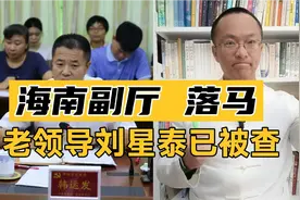 海南打虎！海口市公安局长韩运发任上落马！老领导刘星泰已被查！视频封面