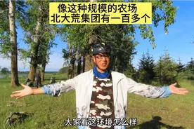 这种规模的农场，北大荒有一百多个！这回知道北大荒集团实力了吧视频封面