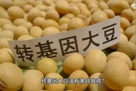 转基因大豆油有害且致癌视频封面