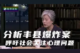 分析2017年丰县爆炸案揭露了哪些问题？视频封面