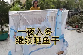 “一场秋雨一场寒”，一夜入冬，北风吹+晴天当然晒鱼干最配啦！视频封面