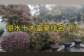 丽水十大富豪排名(下)视频封面