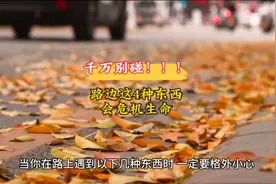 太可怕了，路边这4种东西，不能碰，更不能带回家，危机生命！！视频封面
