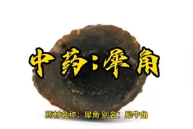中药犀牛角的作用与功效。性味归经。@中药材那些事 @中医王林霞