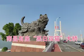 南昌有座“黑白双猫”大桥