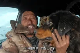 大叔骑行西藏捡到一只藏獒，才收养一天就开始学会护主了视频封面