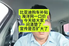 比亚迪购车补贴详情大公开！今天我专门咨询了4S看给的回复是怎样视频封面